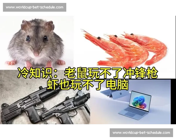 战术博弈的艺术:M战队复盘,两位指挥的脑力风暴! 战术博弈的艺术:M战队复盘,两位指挥的脑力风暴!